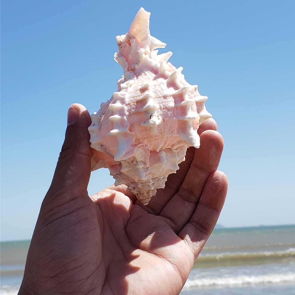 ヘタリア ヘタミュ アメリカ 磯貝龍乎 磯貝龍虎演じるアメリカ